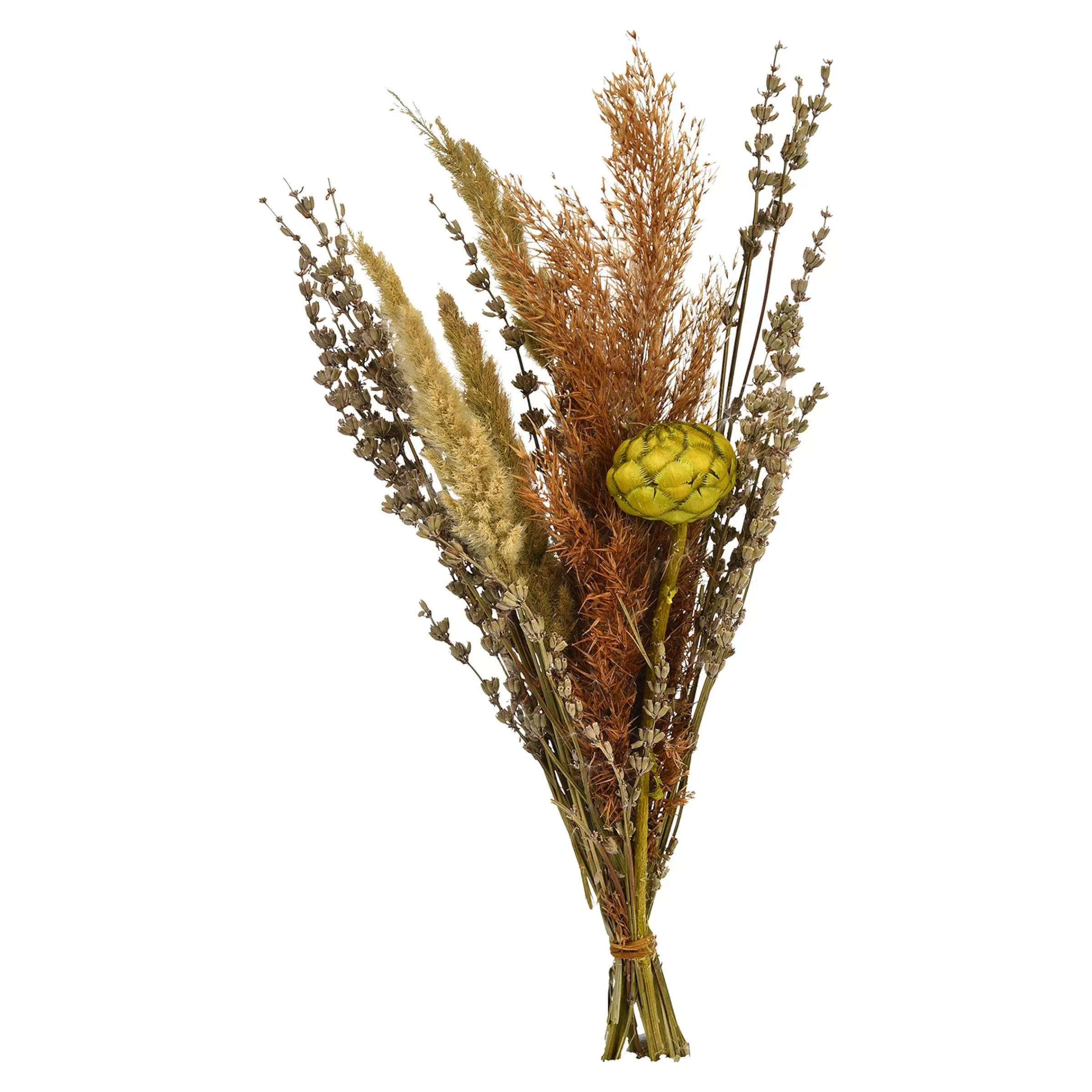 Depot Bouquet De Fleurs Sechees Dried Flowers Best