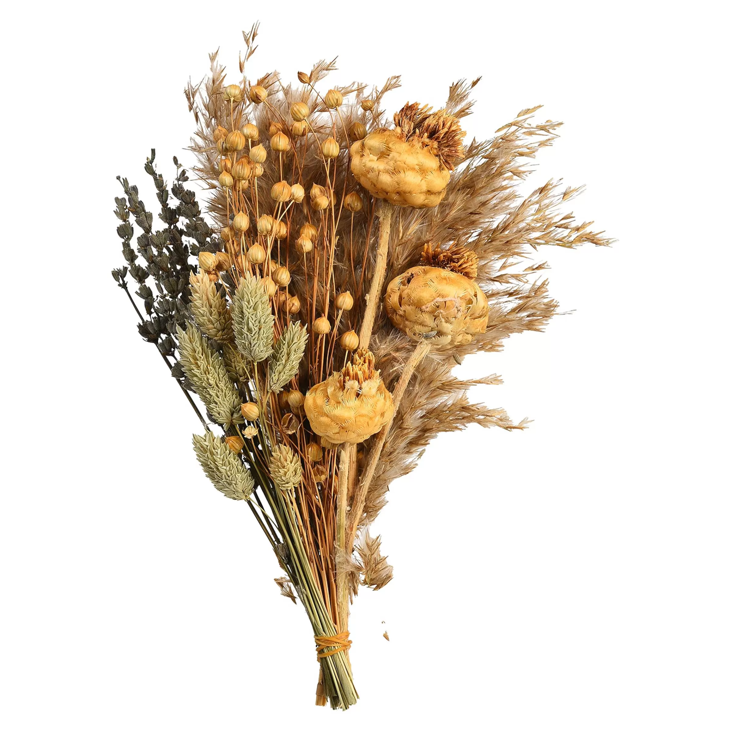 Depot Bouquet De Fleurs Sechees Dried Flowers Discount