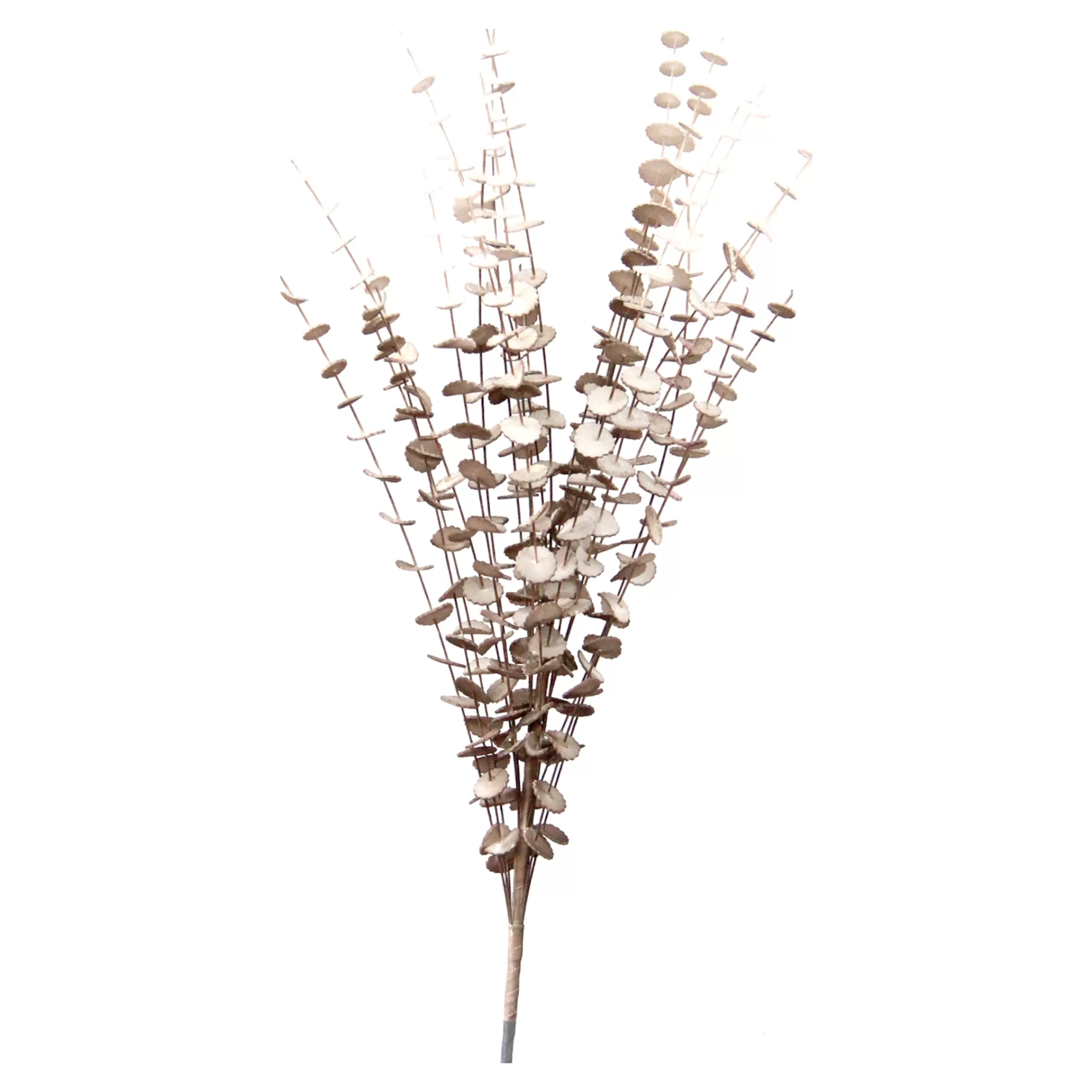 Depot Branche Artistique Softflower Eucalyptus