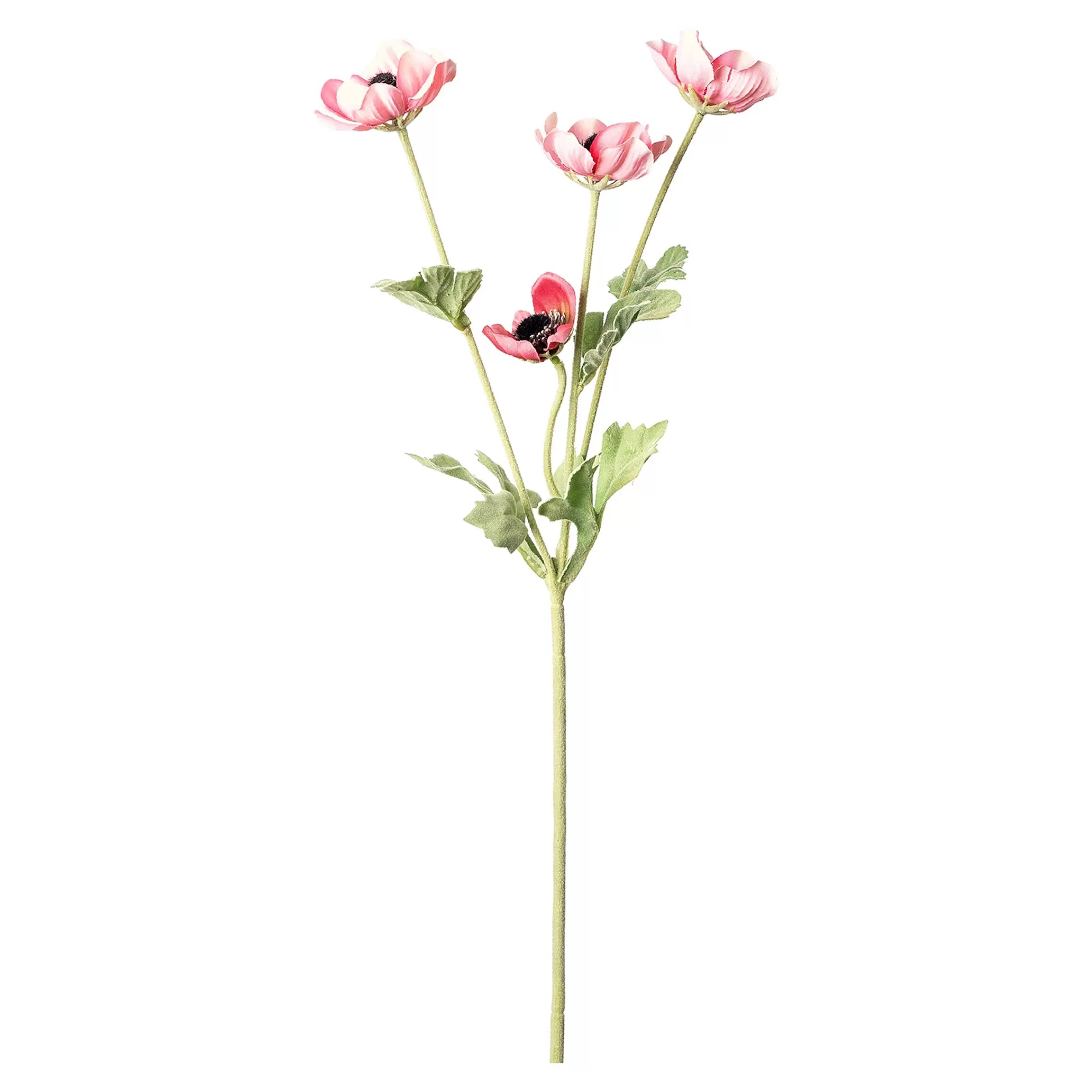 Depot Branche D'Anemone Artificielle Flash Sale