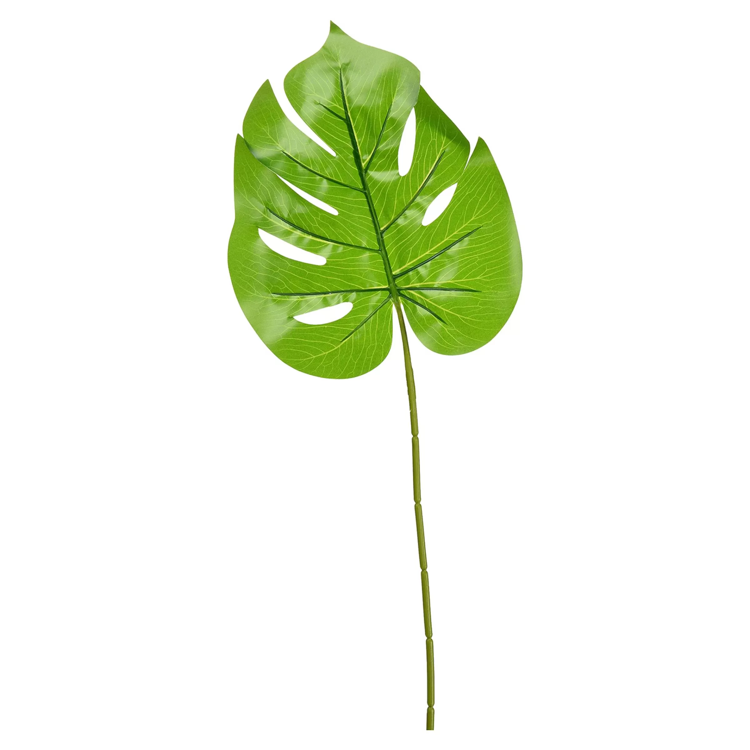 Depot Feuille D'Art Monstera Flash Sale