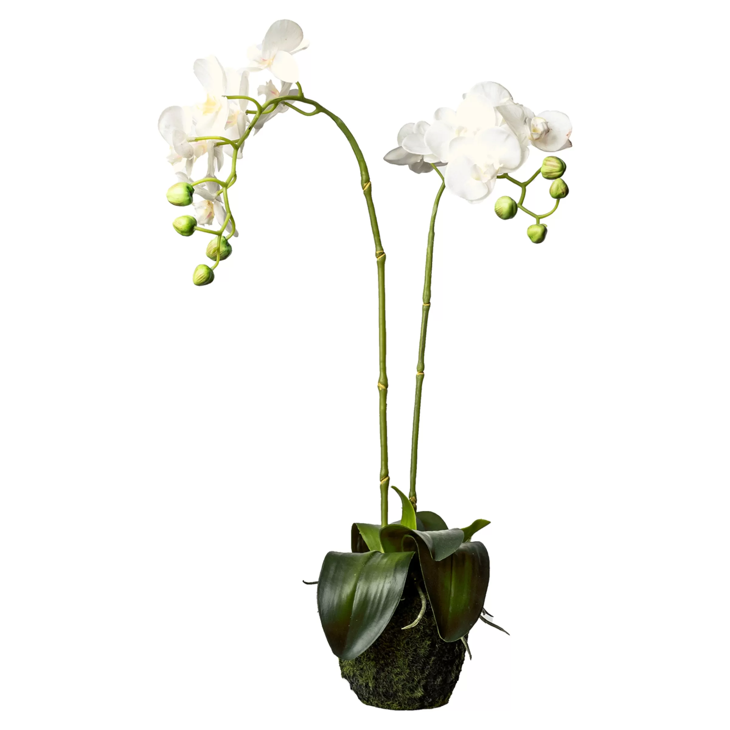 Depot Fleur Artificielle Orchidee Phalaenopsis En Terre