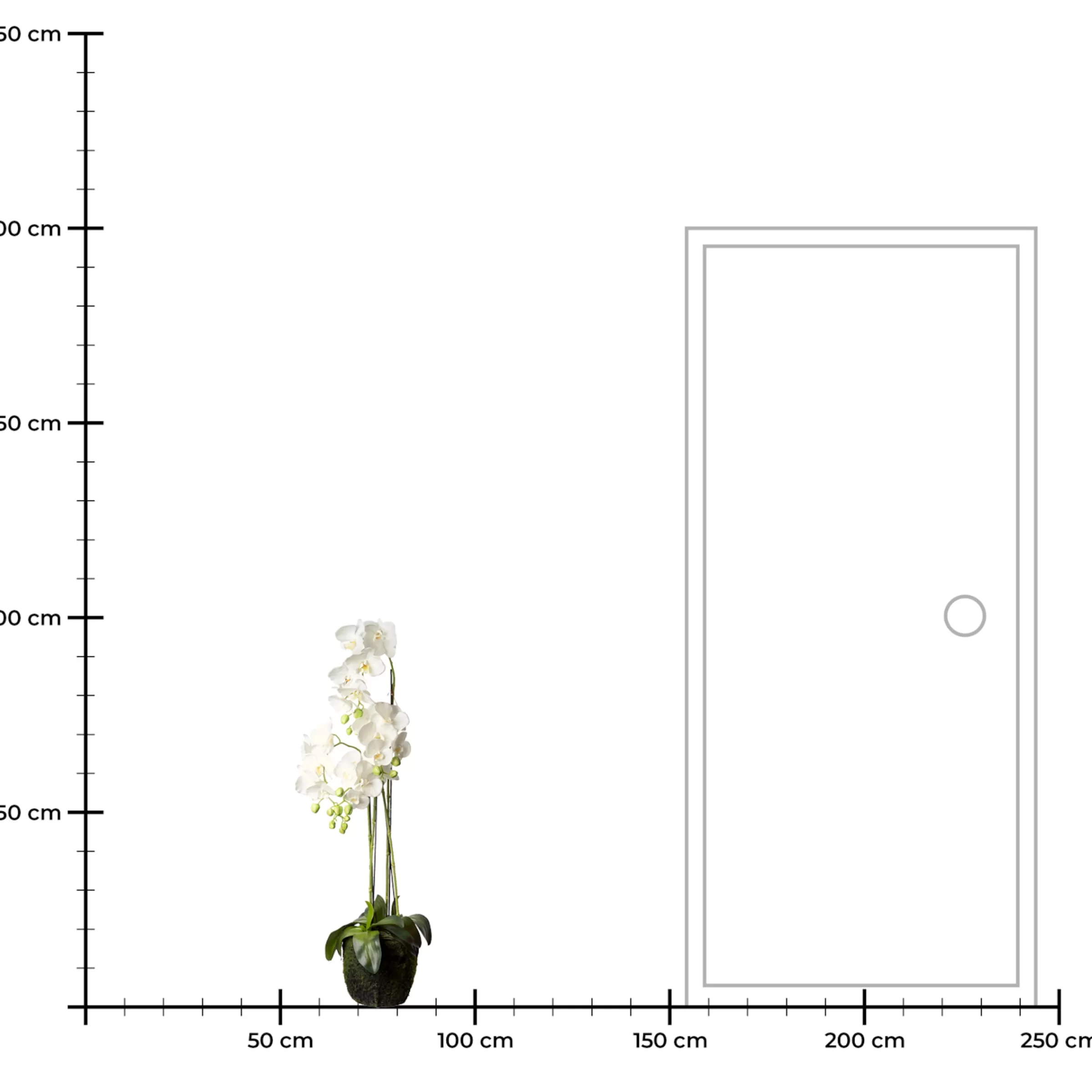 Depot Fleur Artificielle Orchidee Phalaenopsis En Terre