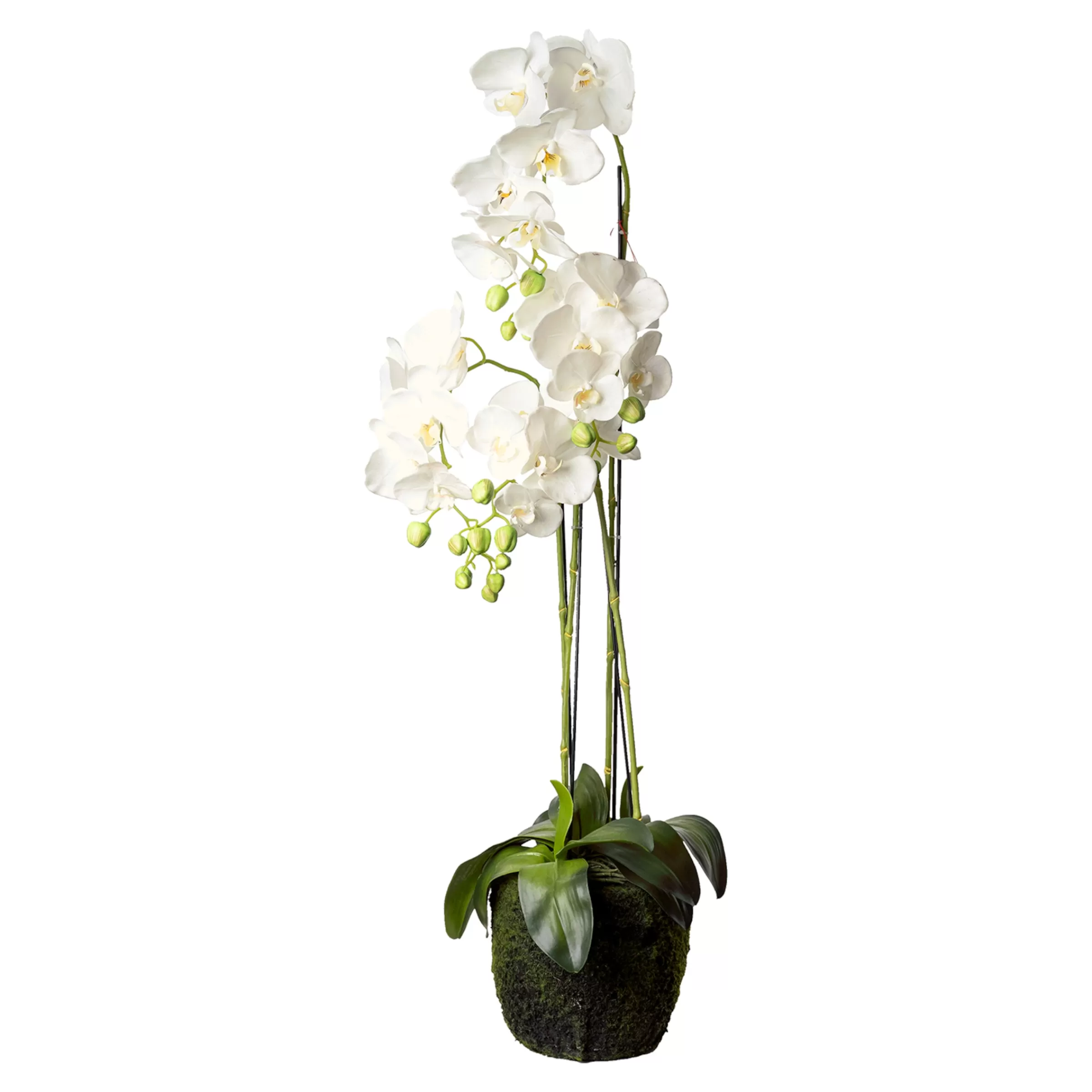 Depot Fleur Artificielle Orchidee Phalaenopsis En Terre