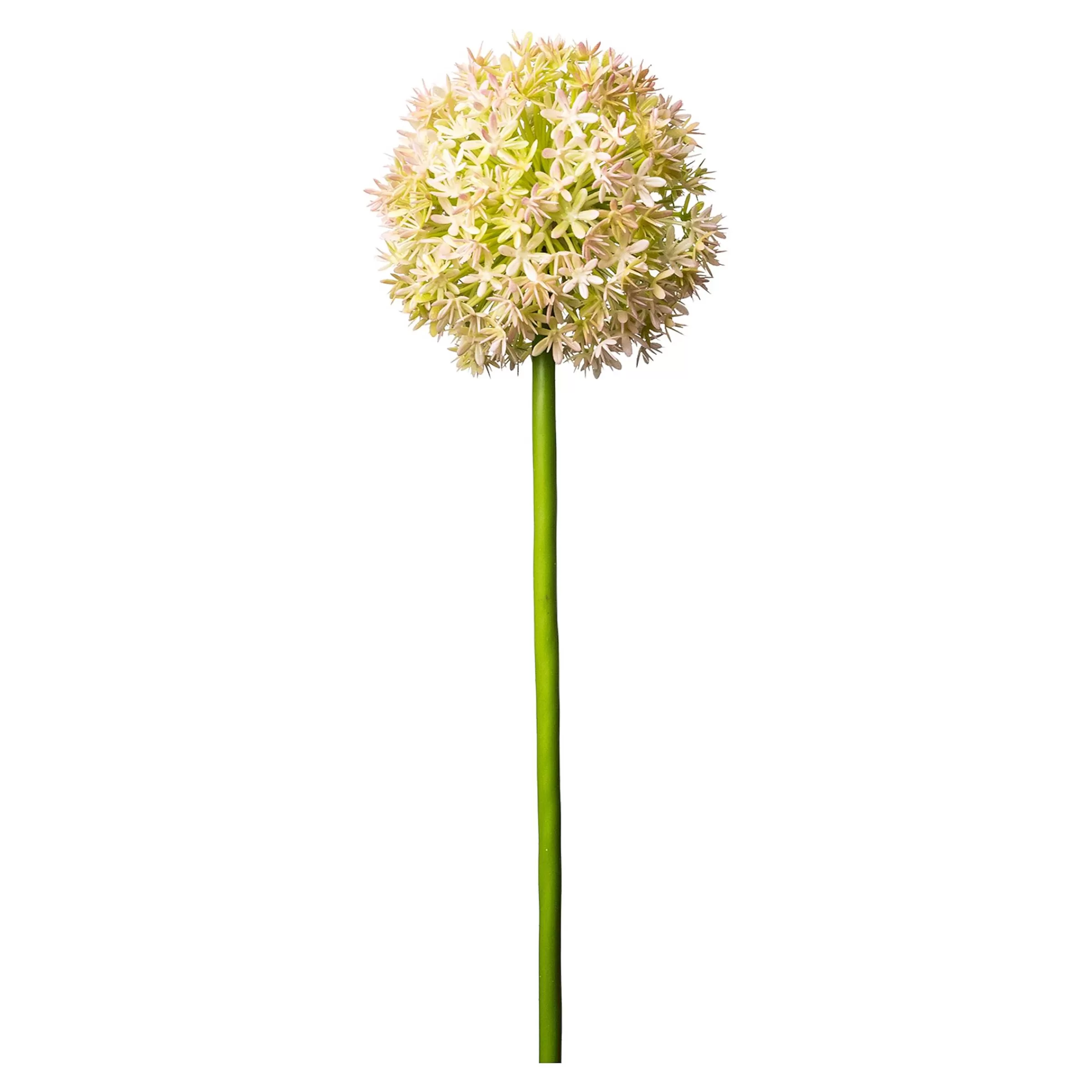 Depot Fleur De Tige Artificielle Allium Shop