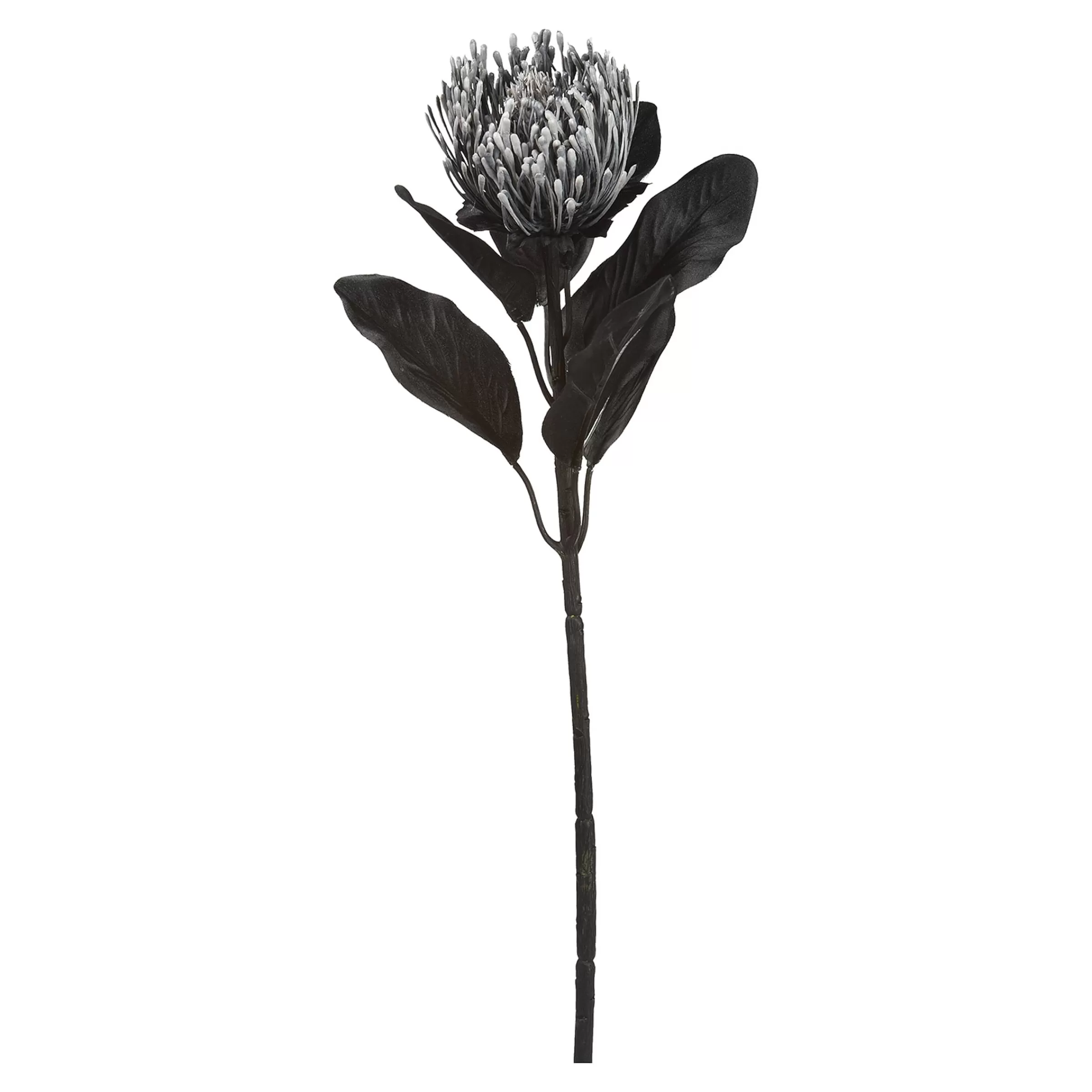 Depot Fleur De Tige Artificielle Protea Discount