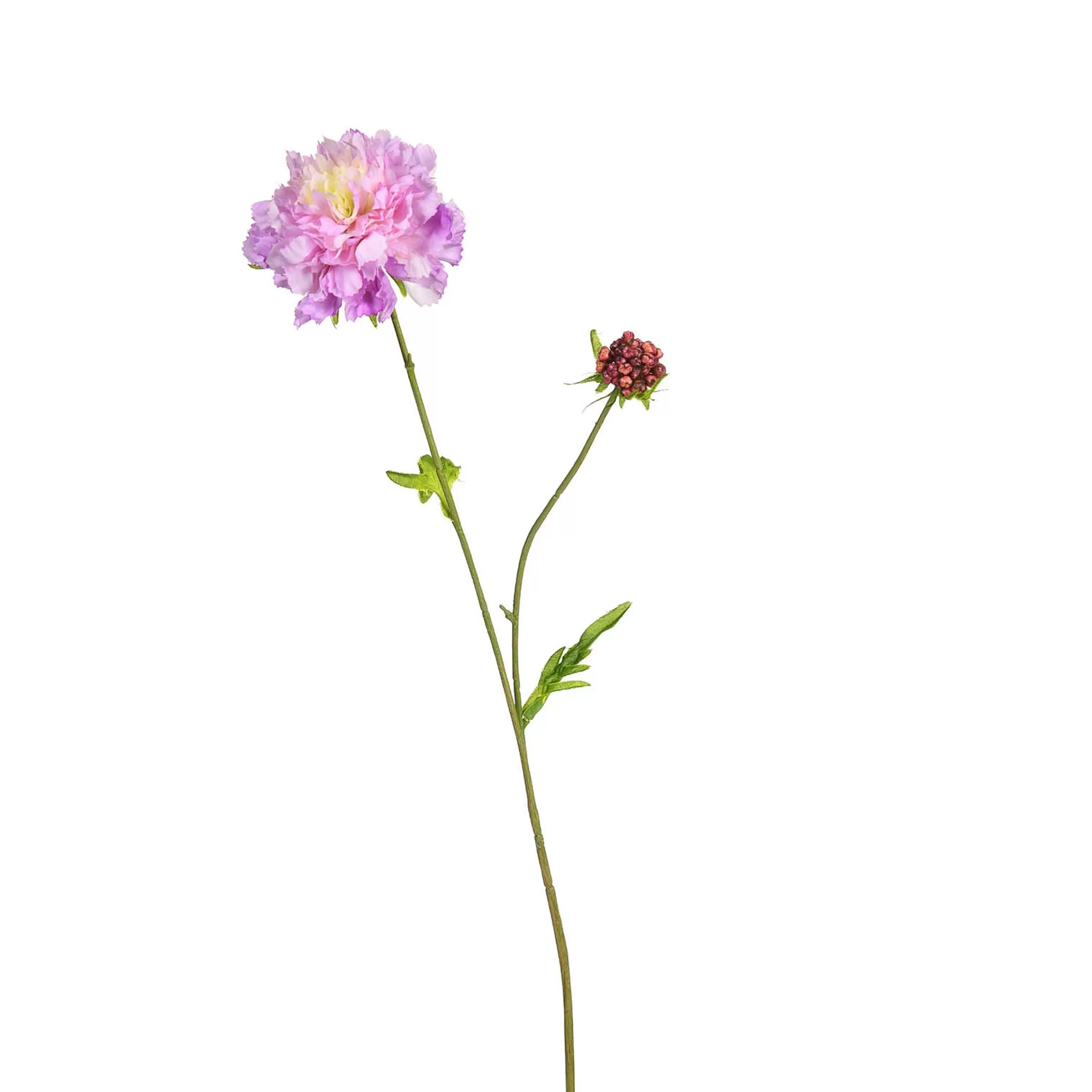 Depot Fleur De Tige Artificielle Scabiosa Best