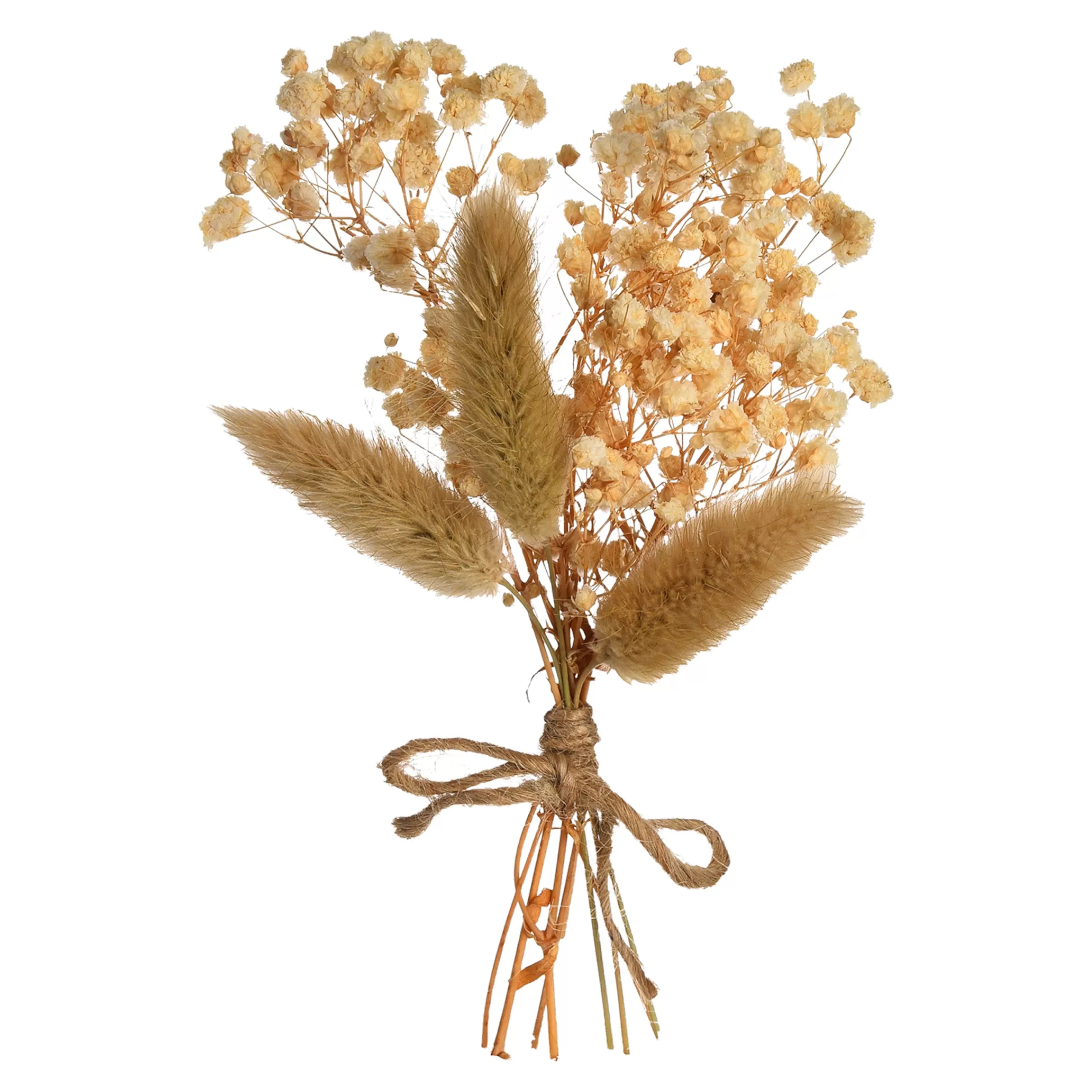 Depot Mini-Bouquet De Fleurs Sechees Dried Flowers