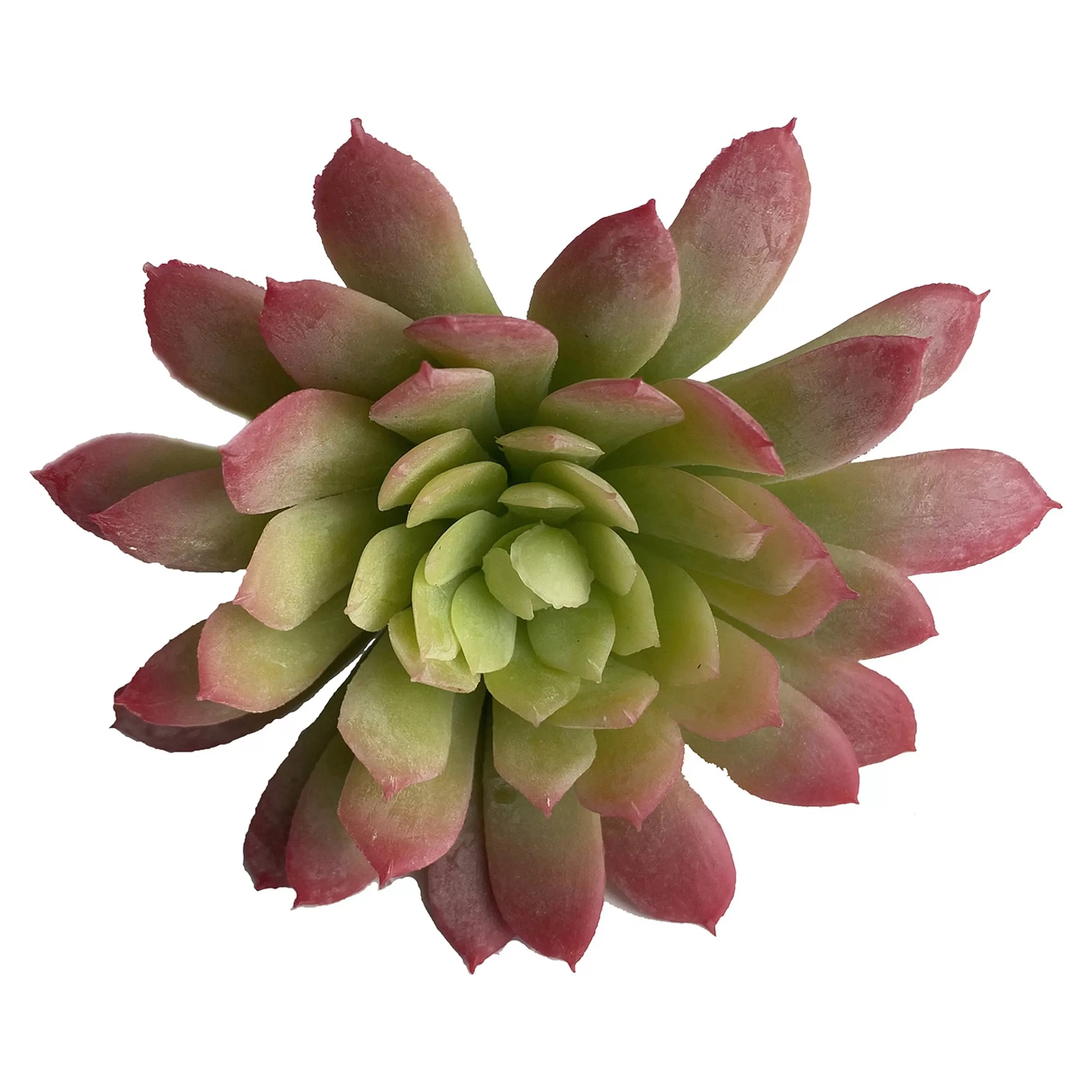 Depot Pic A Fleurs Artificiel Succulente Cheap