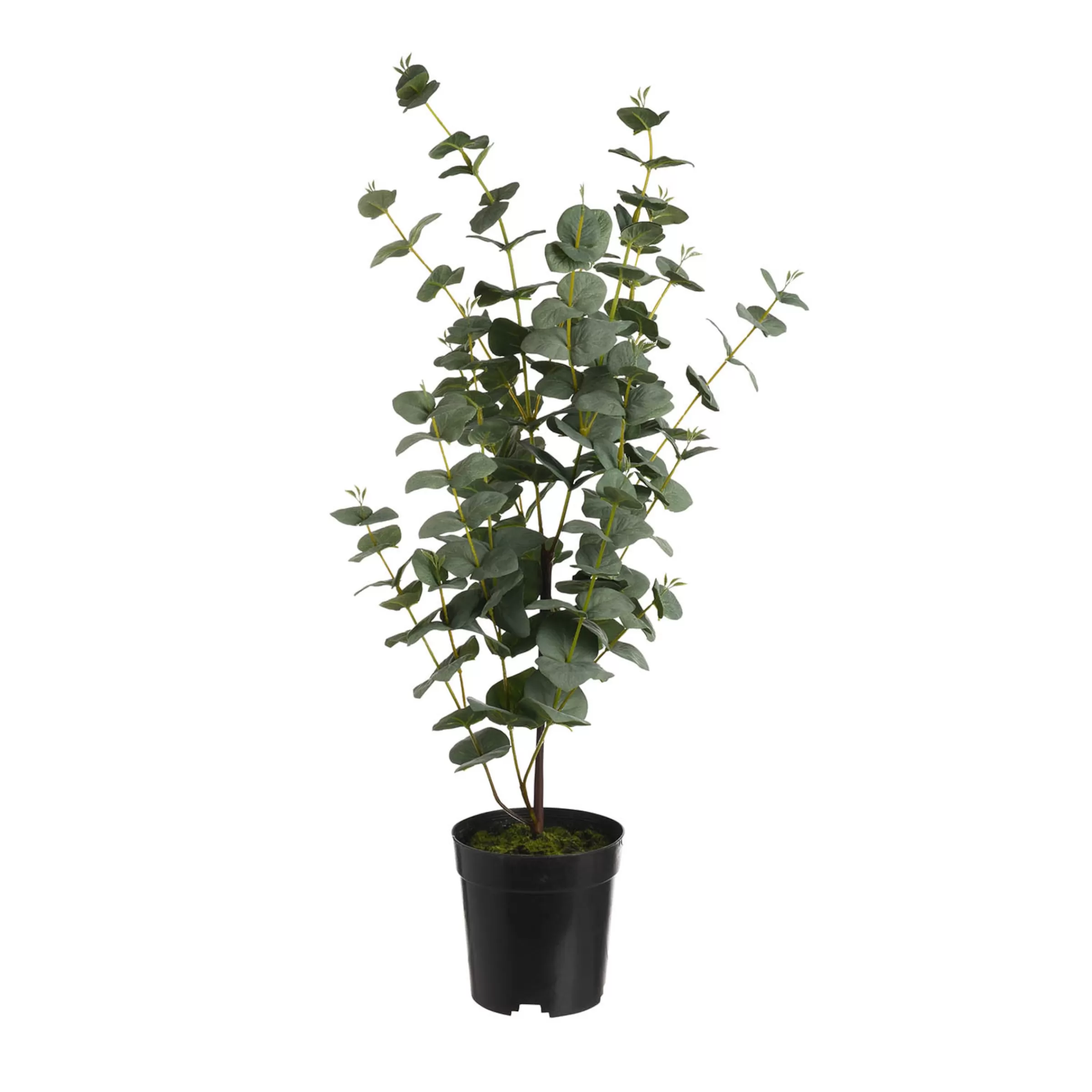 Depot Plante Artificielle D'Eucalyptus Dans Un Pot