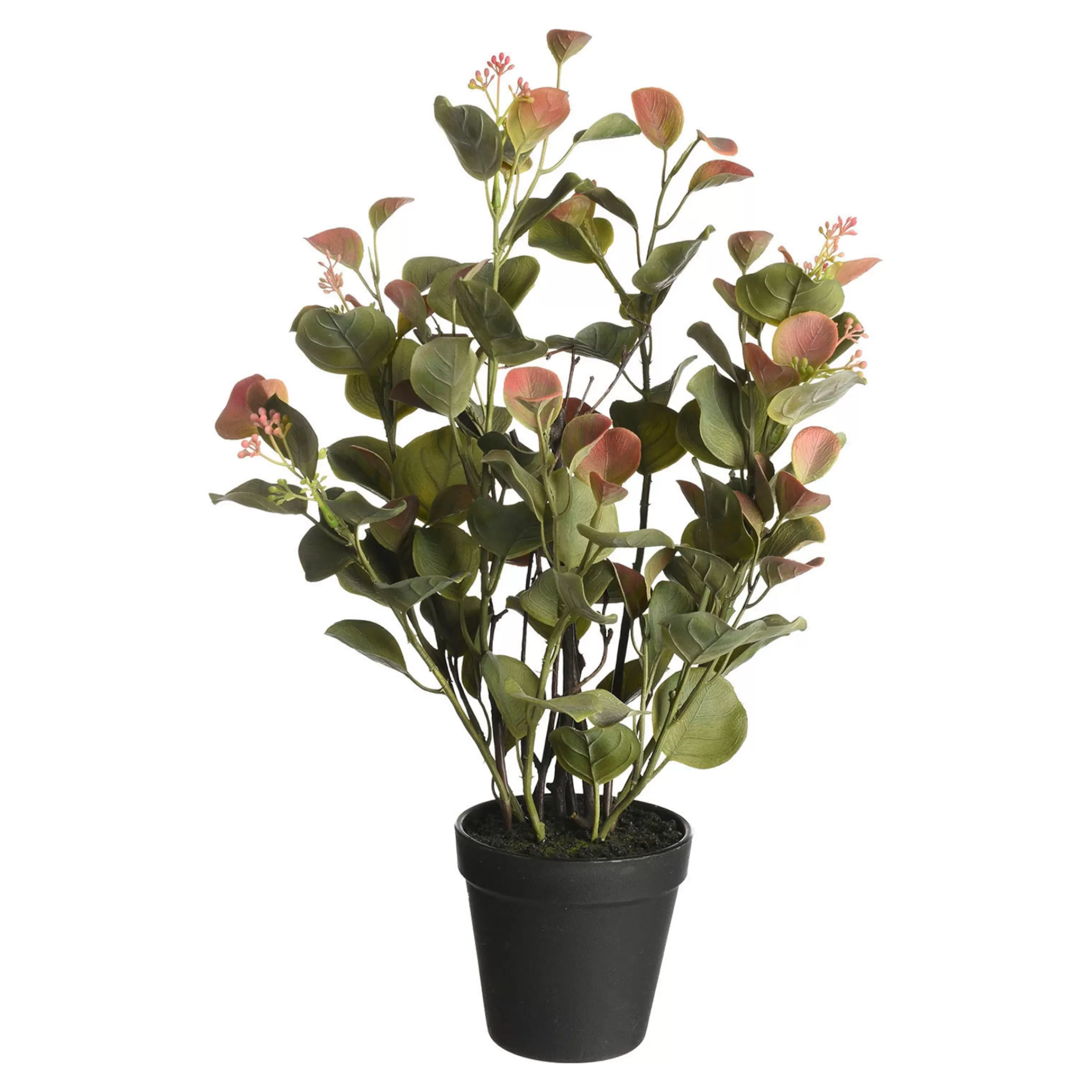 Depot Plante Artificielle D'Eucalyptus Dans Un Pot