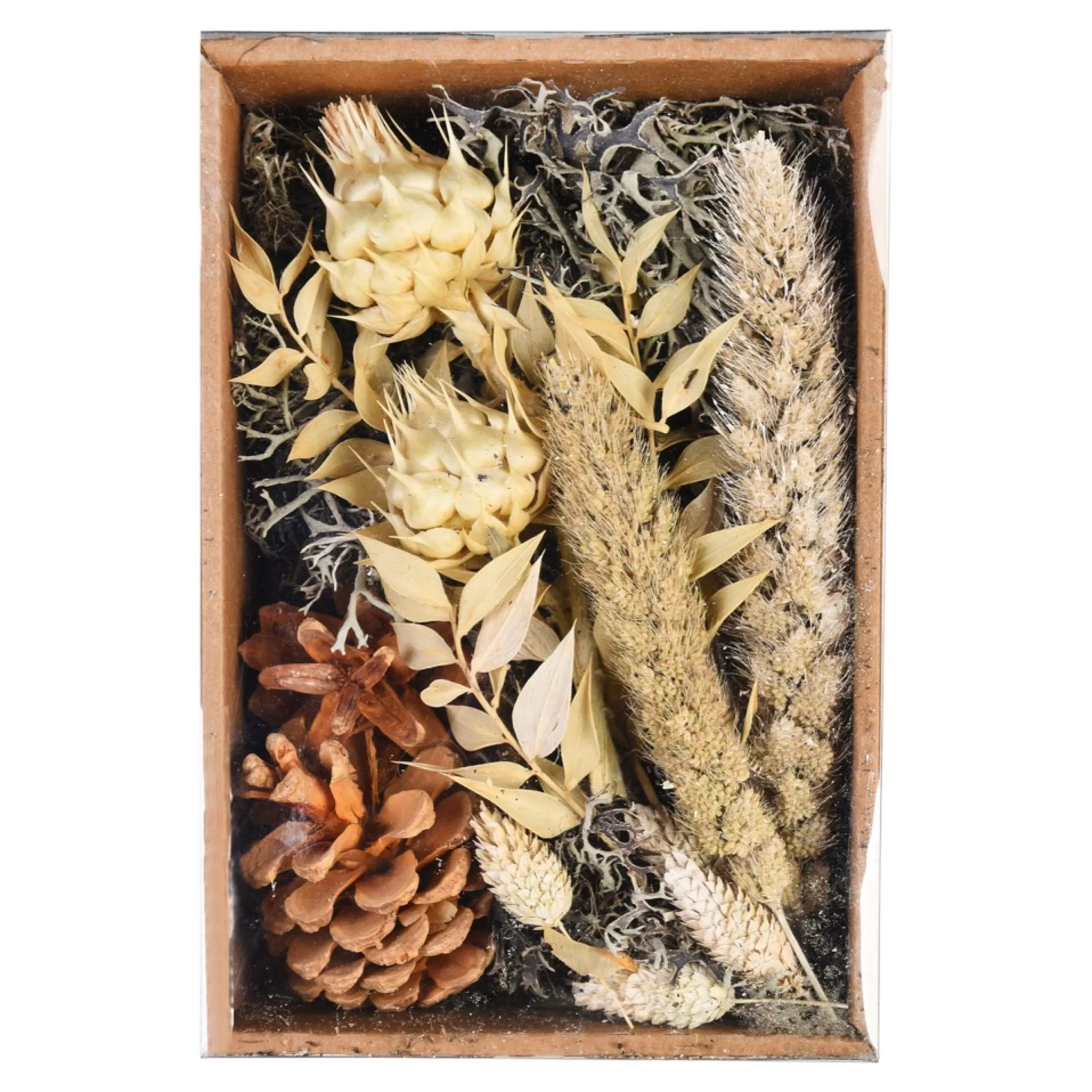 Depot Pot-Pourri Naturel Clearance