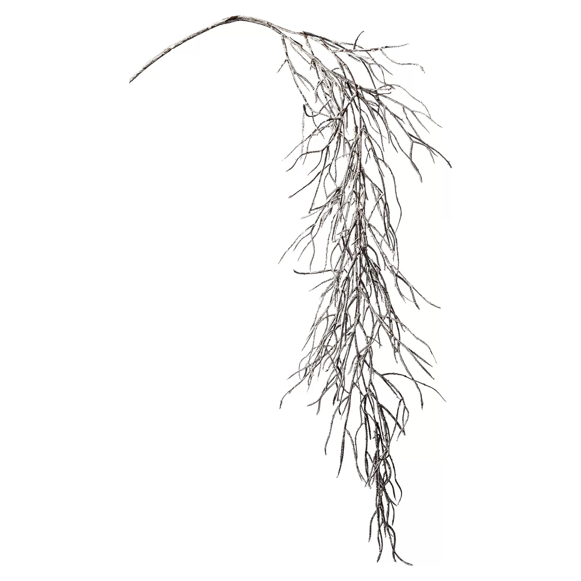 Depot Suspension D'Art En Forme De Branche Tillandsia Discount